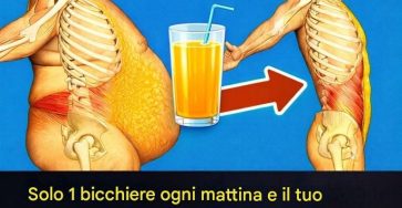 8705ae0f 99e6 4777 bec8 cb68a718bd2f