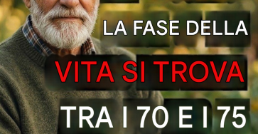 C412af0b ae43 43c3 b112 fff285012c40