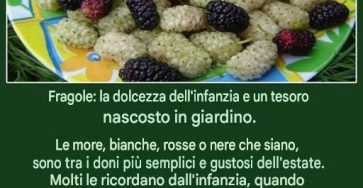 3582cdab 0e5c 46d4 af86 d6f1629beb8c